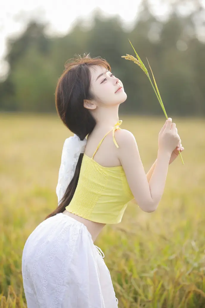 中国菜刀工具界面